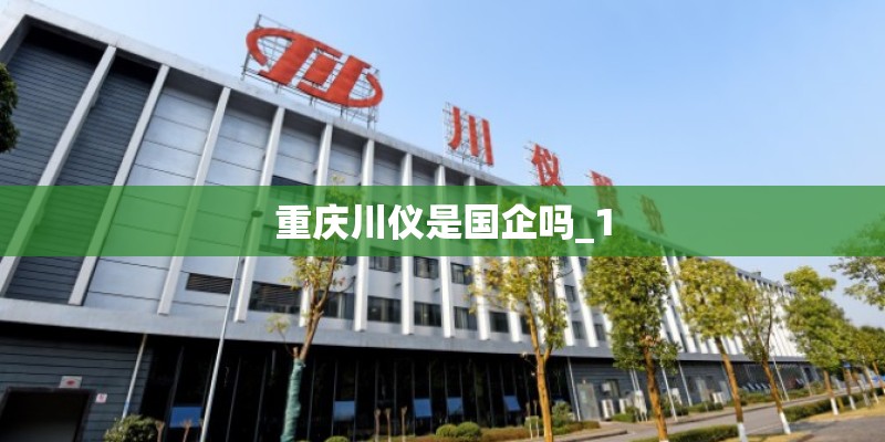 重庆川仪是国企吗_1