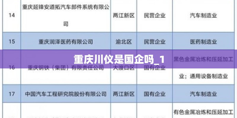 重庆川仪是国企吗_1