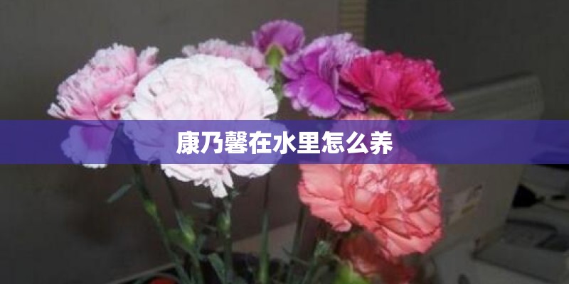 重庆川仪是国企吗_1
