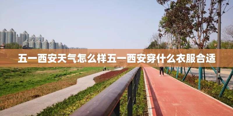 从花店买回来的玫瑰花可以种植吗？