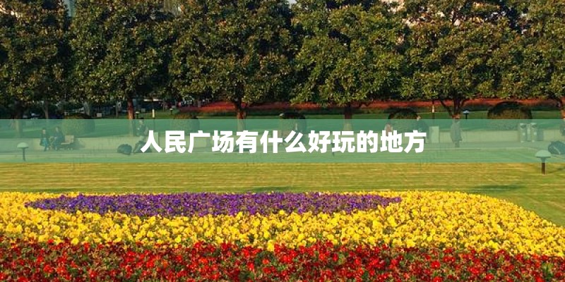 康乃馨在水里怎么养