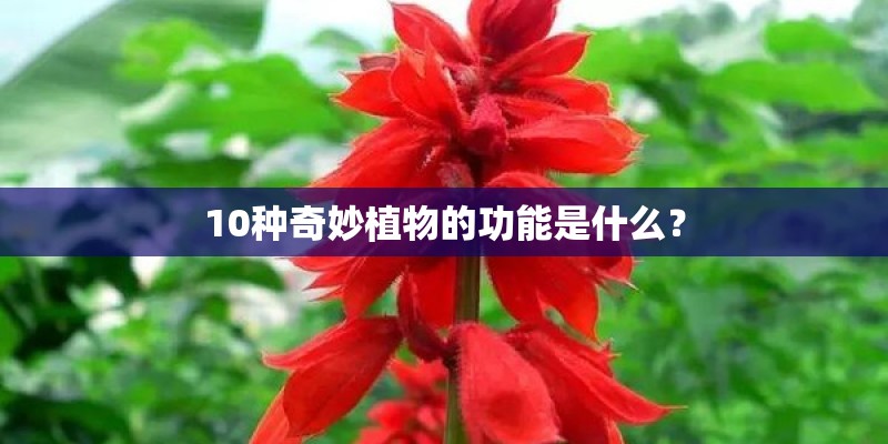 心理学基础知识