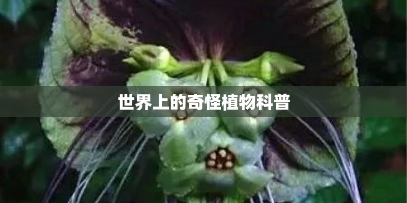 博越多少钱一台