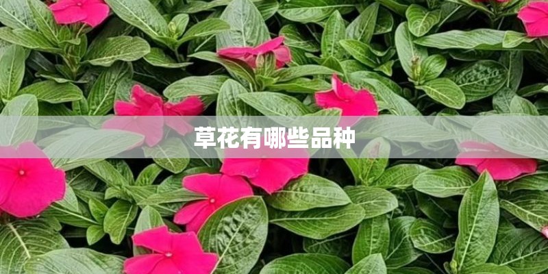 人民广场有什么好玩的地方