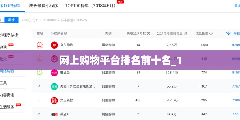 网上购物平台排名前十名_1