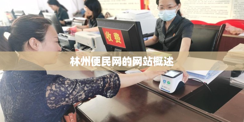 林州便民网的网站概述