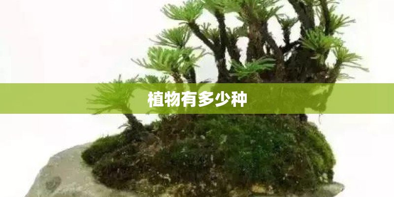 江宁区的地理环境
