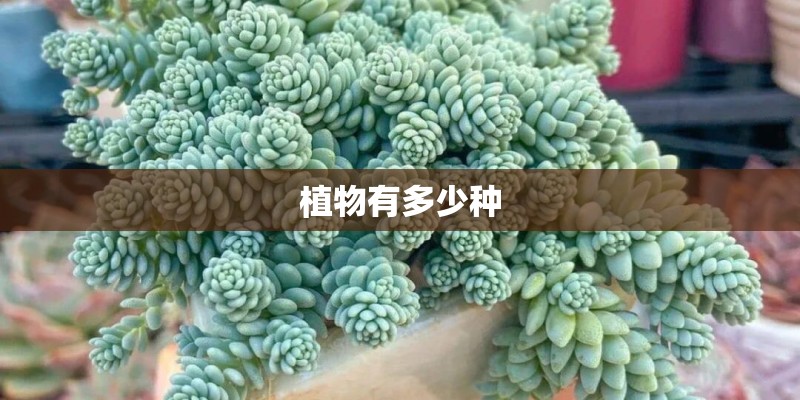 植物有多少种
