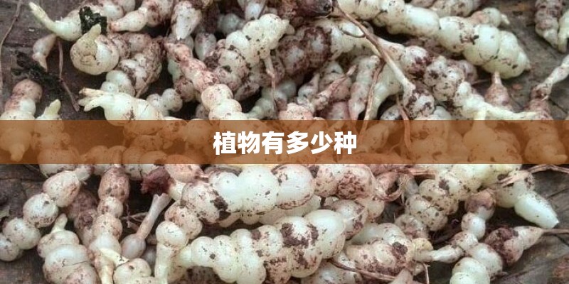 植物有多少种