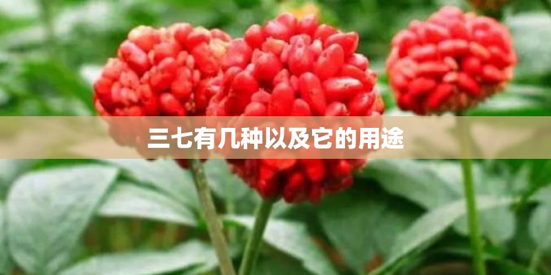 现代ix25最新售价