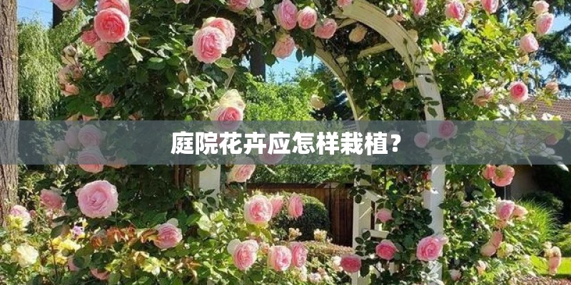 江宁区的地理环境