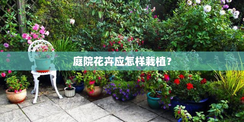 庭院花卉应怎样栽植？