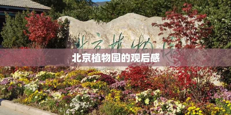 植物有多少种