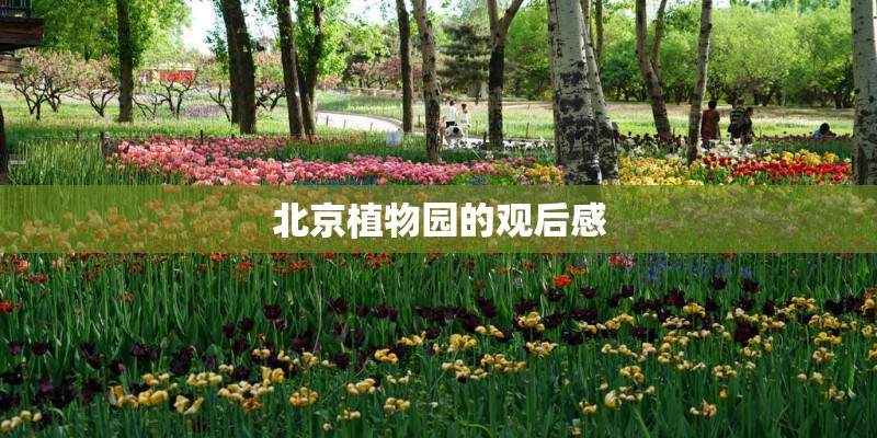 北京植物园的观后感
