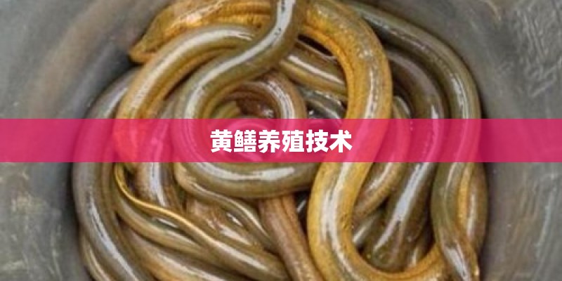 常德天气预报常德天气预报15天查询