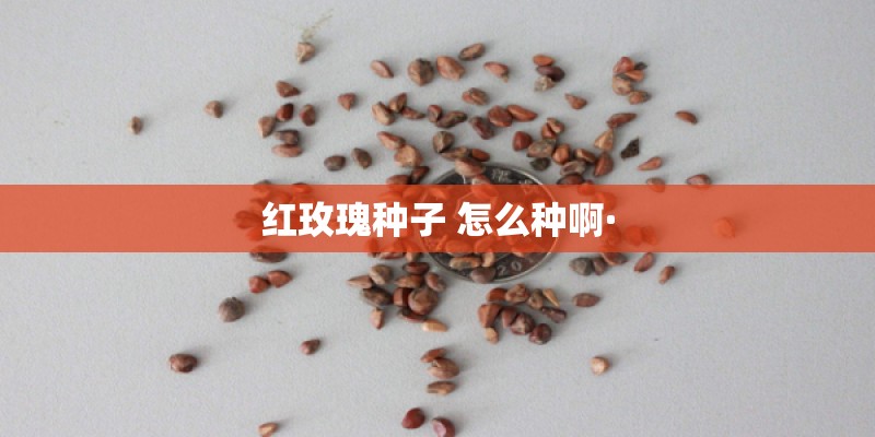 北京植物园的观后感