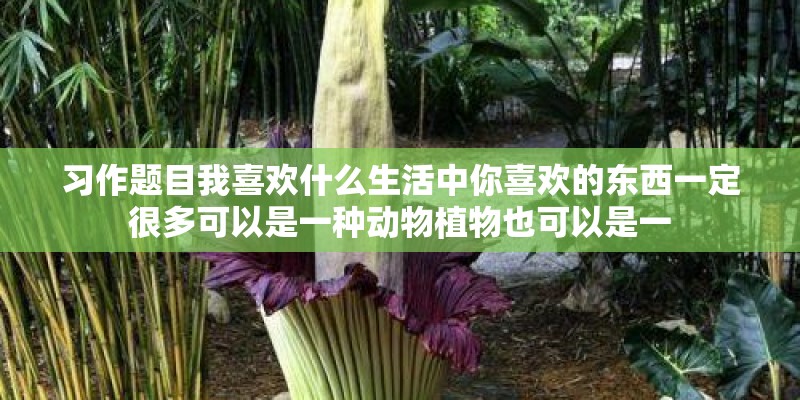 习作题目我喜欢什么生活中你喜欢的东西一定很多可以是一种动物植物也可以是一