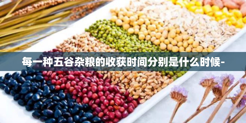 每一种五谷杂粮的收获时间分别是什么时候-