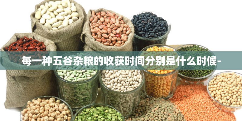 每一种五谷杂粮的收获时间分别是什么时候-