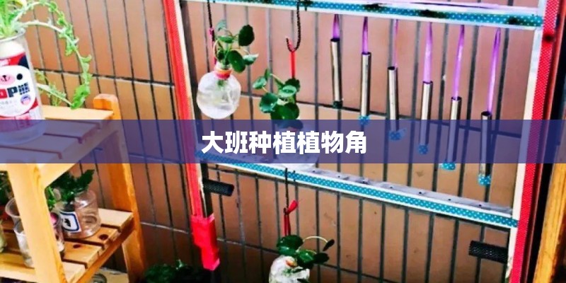 晋城白马绿道徒步攻略晋城白马绿道徒步攻略路线