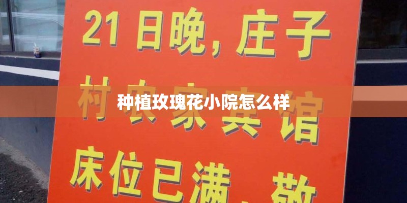 种植玫瑰花小院怎么样