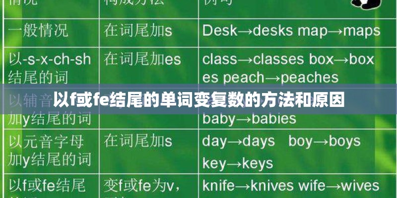 怎么把水塔花养的漂亮？