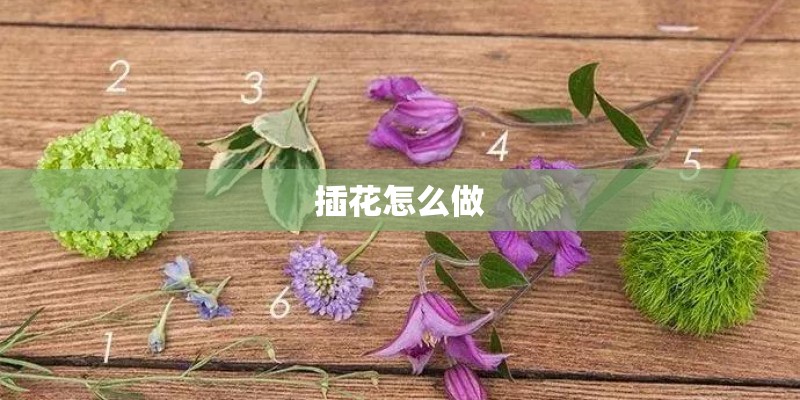 以f或fe结尾的单词变复数的方法和原因