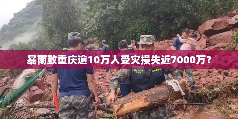 种植玫瑰花小院怎么样