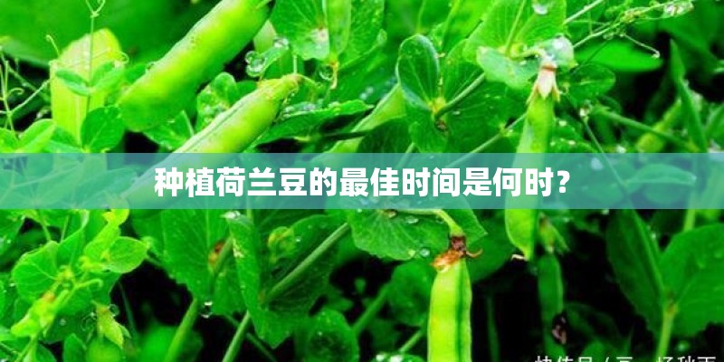 暴雨致重庆逾10万人受灾损失近7000万？
