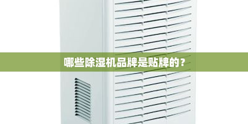 股票年报对股票有影响？