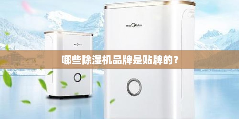哪些除湿机品牌是贴牌的？