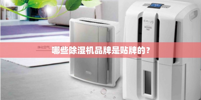 哪些除湿机品牌是贴牌的？