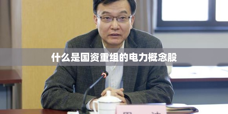 什么是国资重组的电力概念股