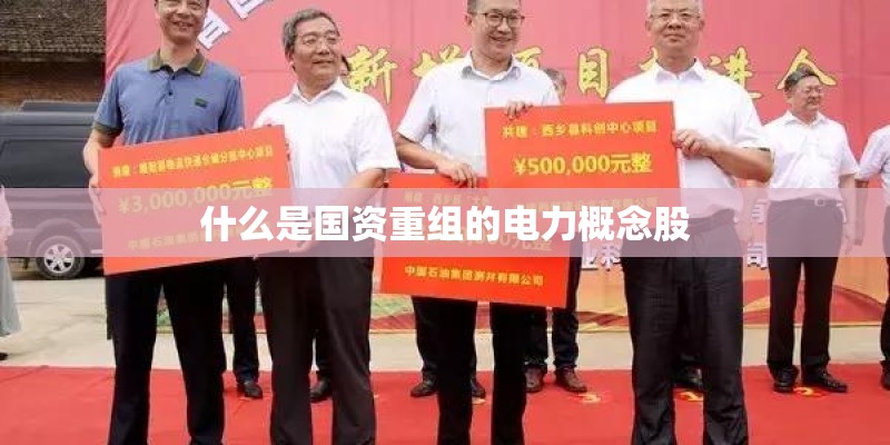 什么是国资重组的电力概念股