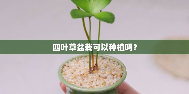 飞度油耗一公里几毛