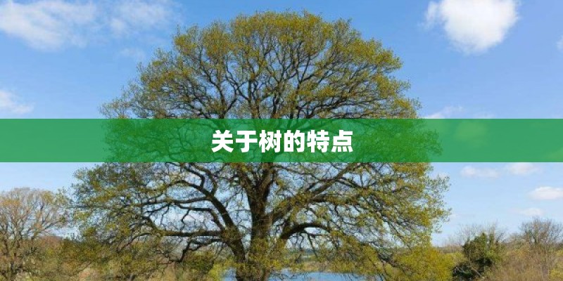济南装修公司电话名单