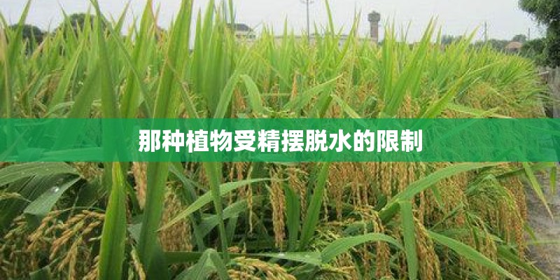 钢结构工程有几种形式