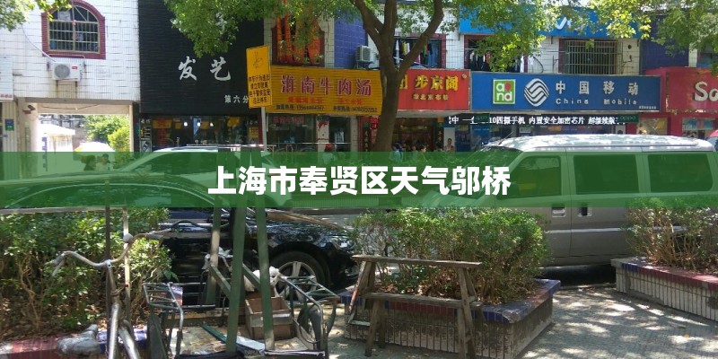 上海市奉贤区天气邬桥