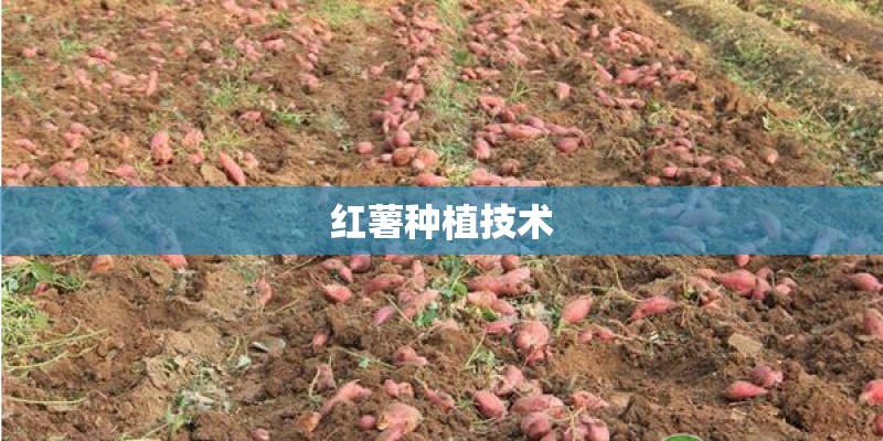 中国最冷城市排行榜前十名