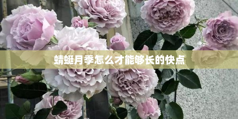 欧宝汽车是什么档次的
