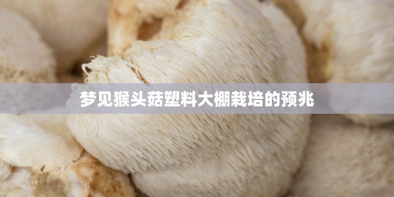 OPPO手机保护屏幕的天气预报怎么设置？