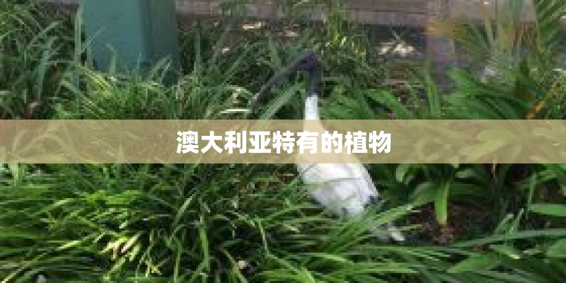 是谁宣布中国人民站起来了？