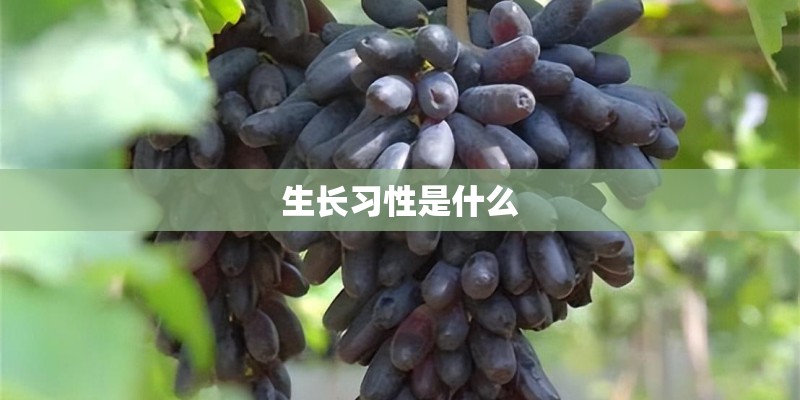 计算机网络技术和应用技术有什么区别！