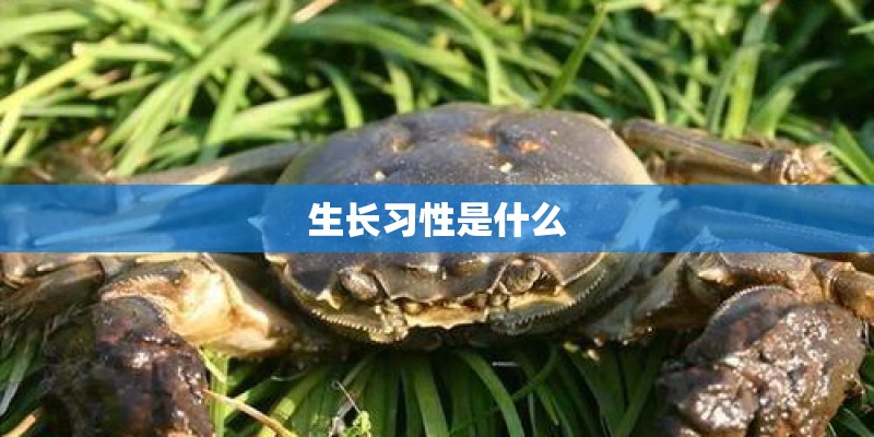 生长习性是什么