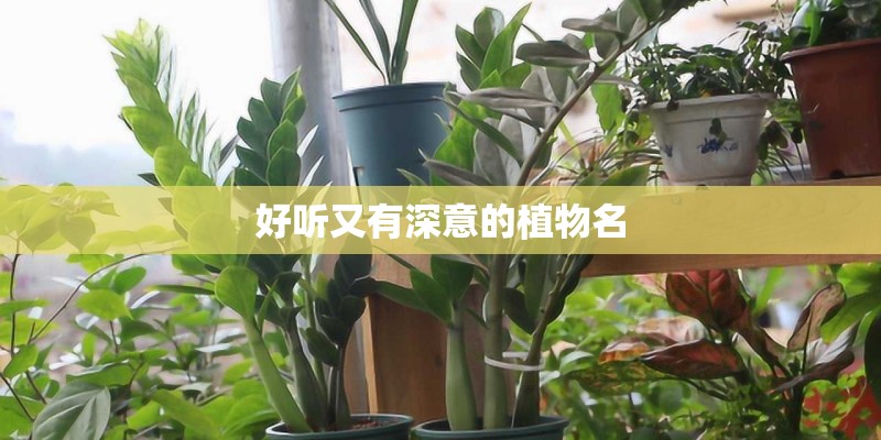 生长习性是什么