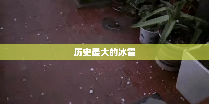 丰田霸道、普拉多、陆地巡洋舰三者什么关系？