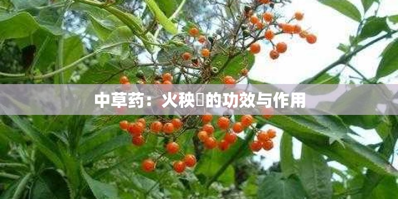 个人租房合同范本 房屋出租不能少