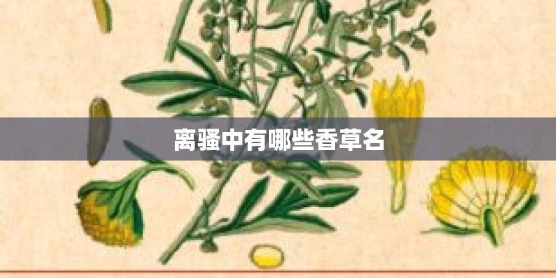 离骚中有哪些香草名