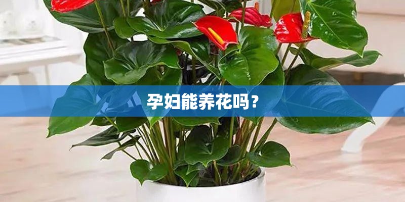 请给我十种园林植物