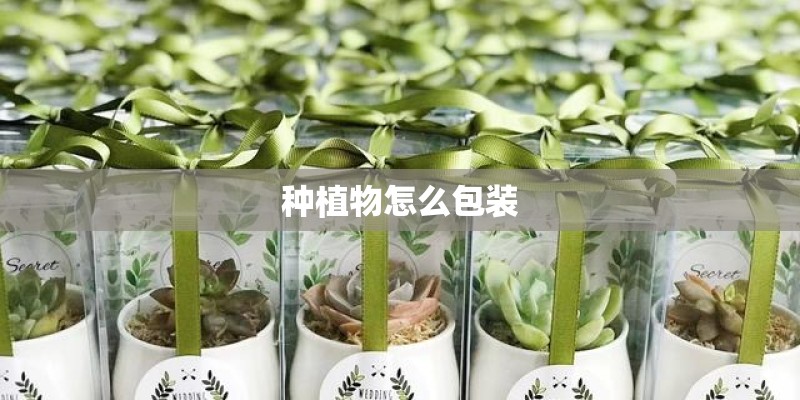 成都最好的职业学校排名